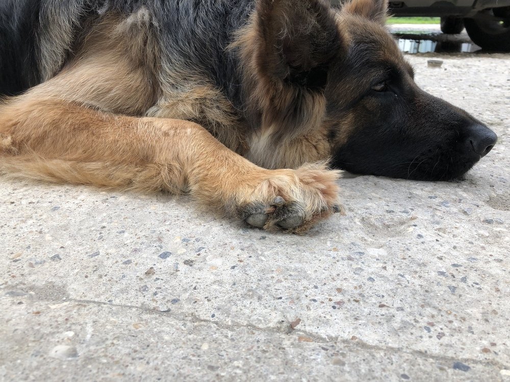 Photograph by Алена Жирова