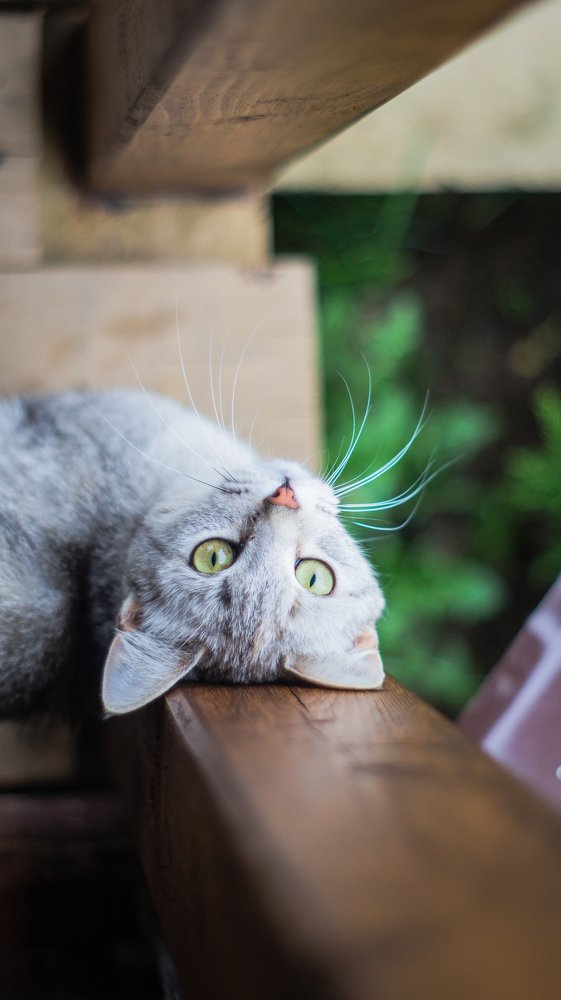 Photograph by Евгений Калагаев