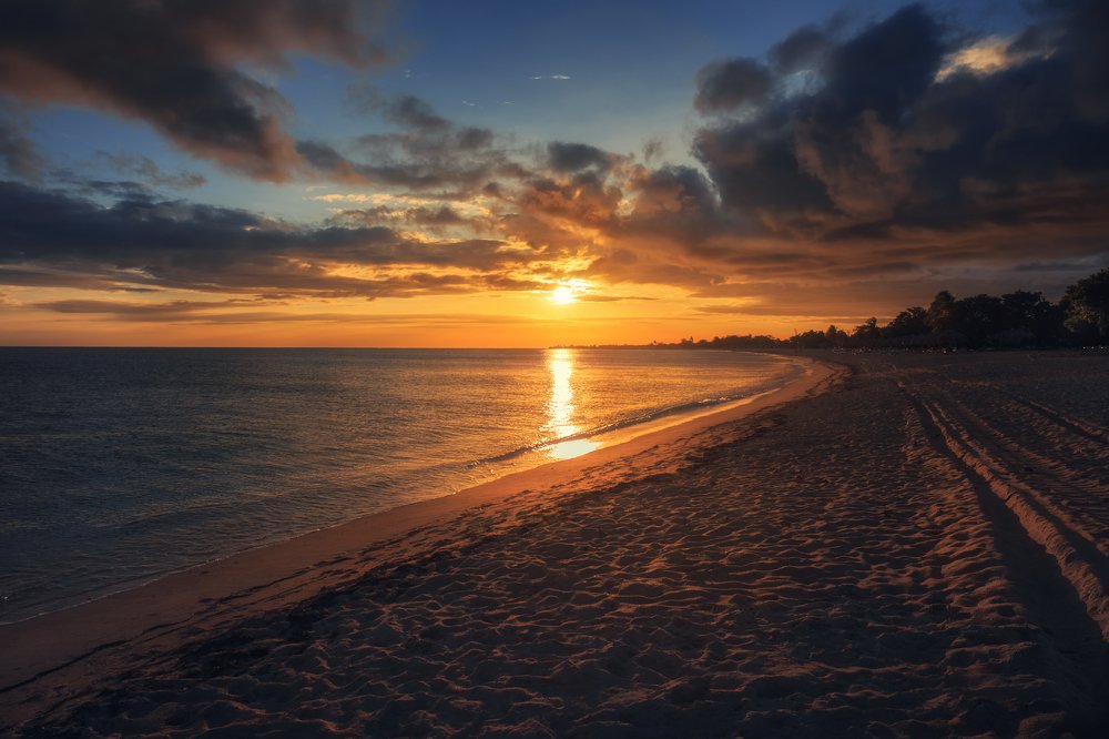 Photograph by Iris Lara