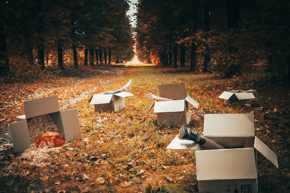 Photograph by Сергей Межевич