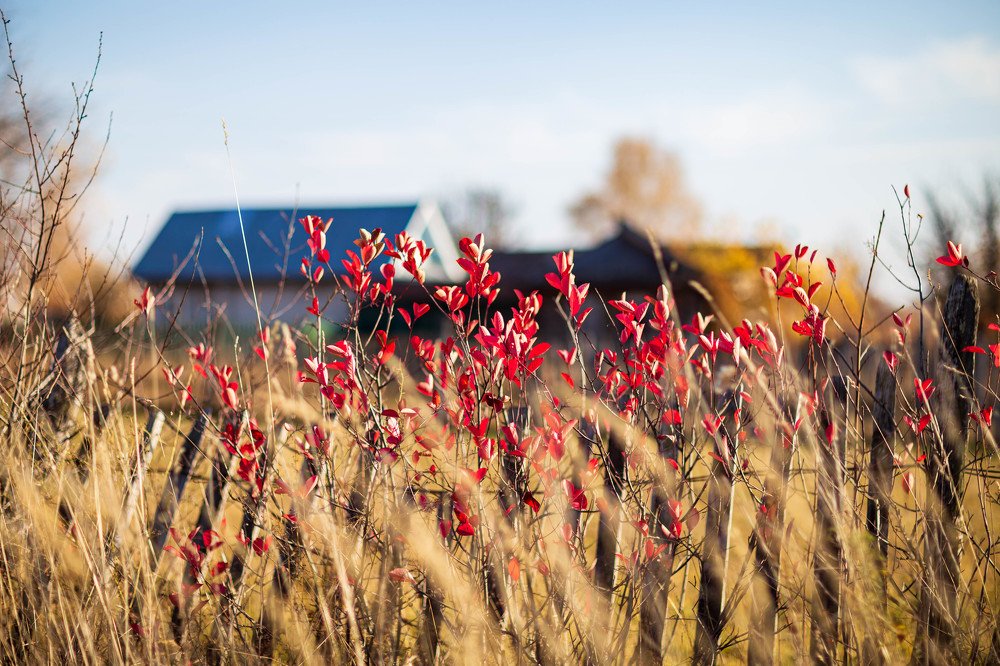 Photograph by Андриян Чаркин