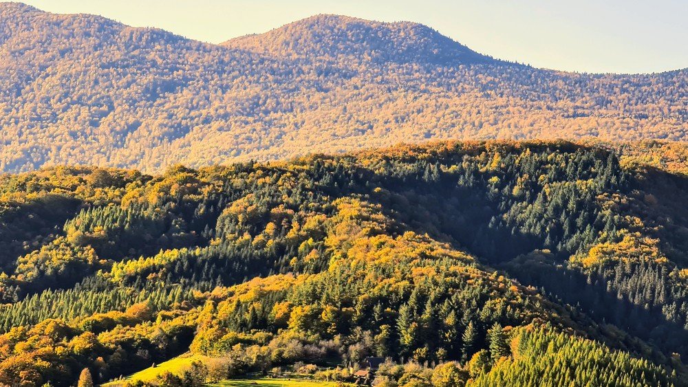 Photograph by Bosko Simic