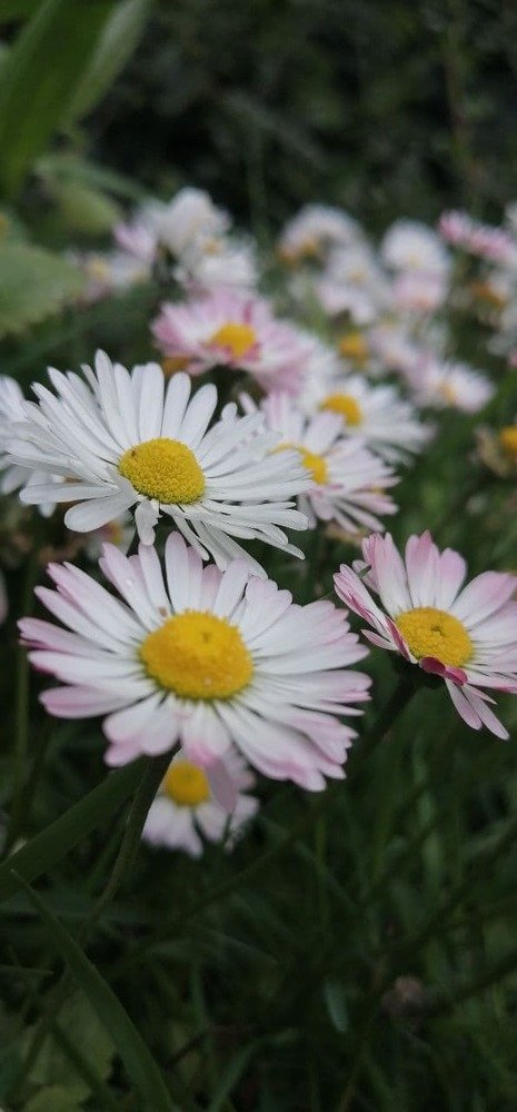 Photograph by Иванченко Ксения