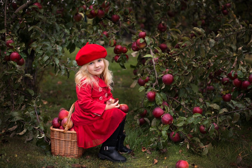 Фотография автора VAIDA MARTINKIENE