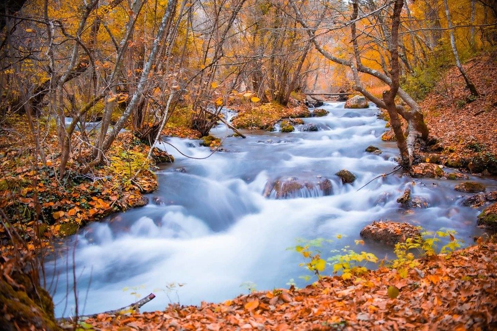 Черная речка