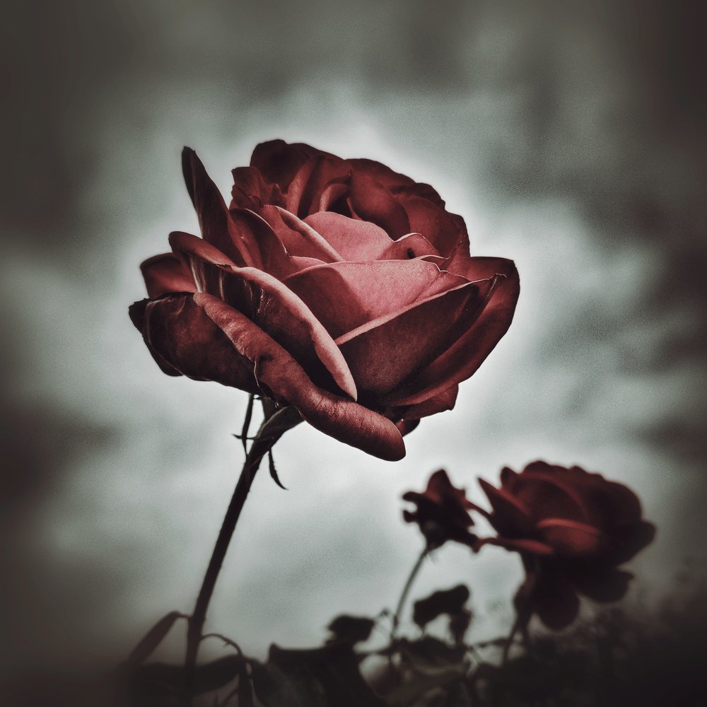 Photograph by Наталья Егорова