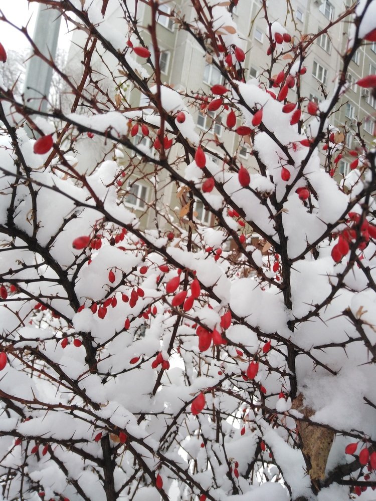 Photograph by Татьяна Ситникова