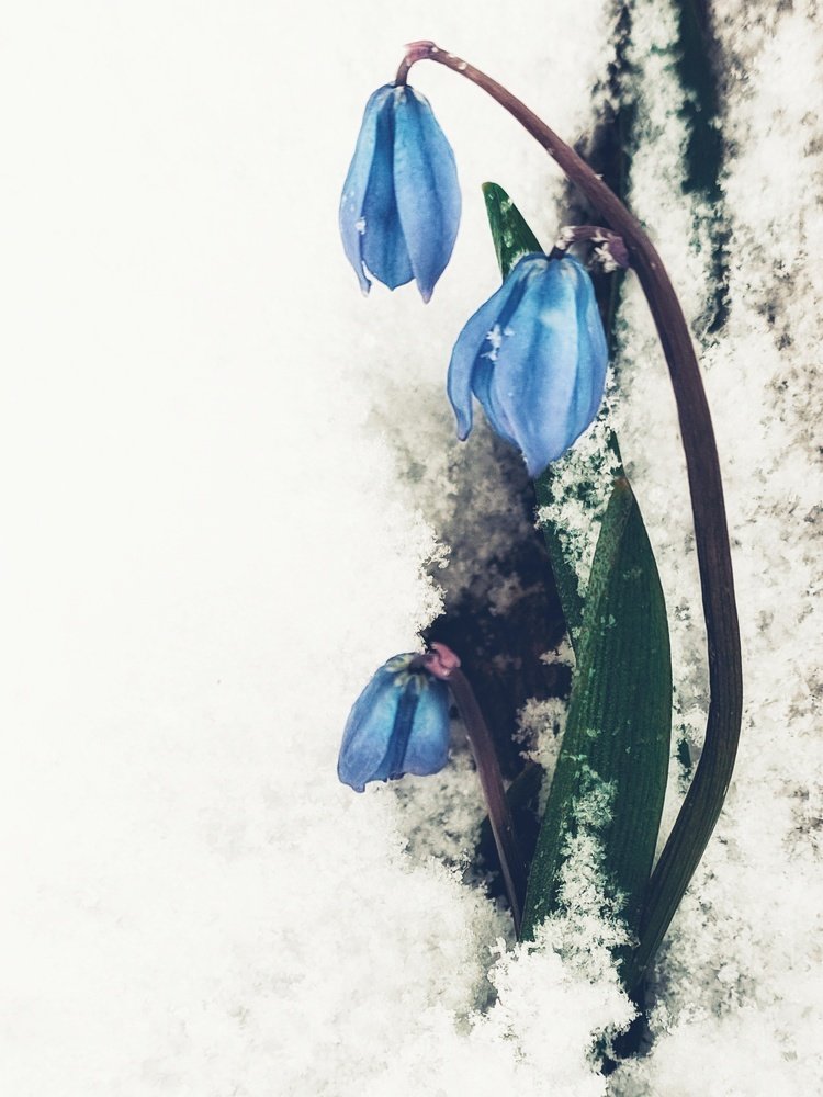 Photograph by Наталья Егорова