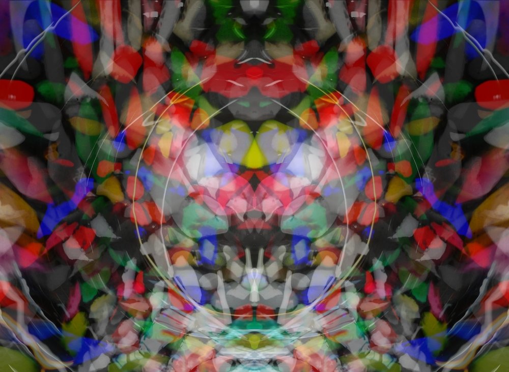 Photograph by Eva Wiedemann