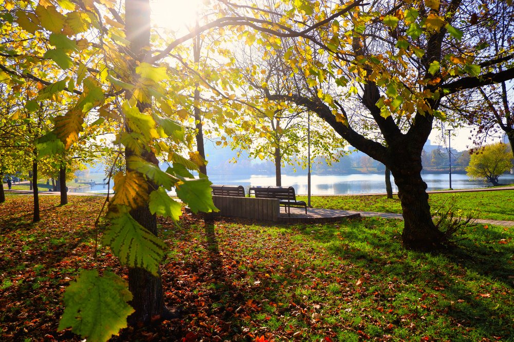 Фотография автора Zuzi Janek