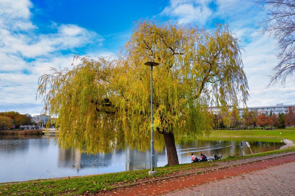 Фотография автора Zuzi Janek