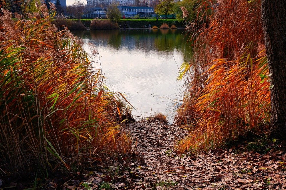 Фотография автора Zuzi Janek