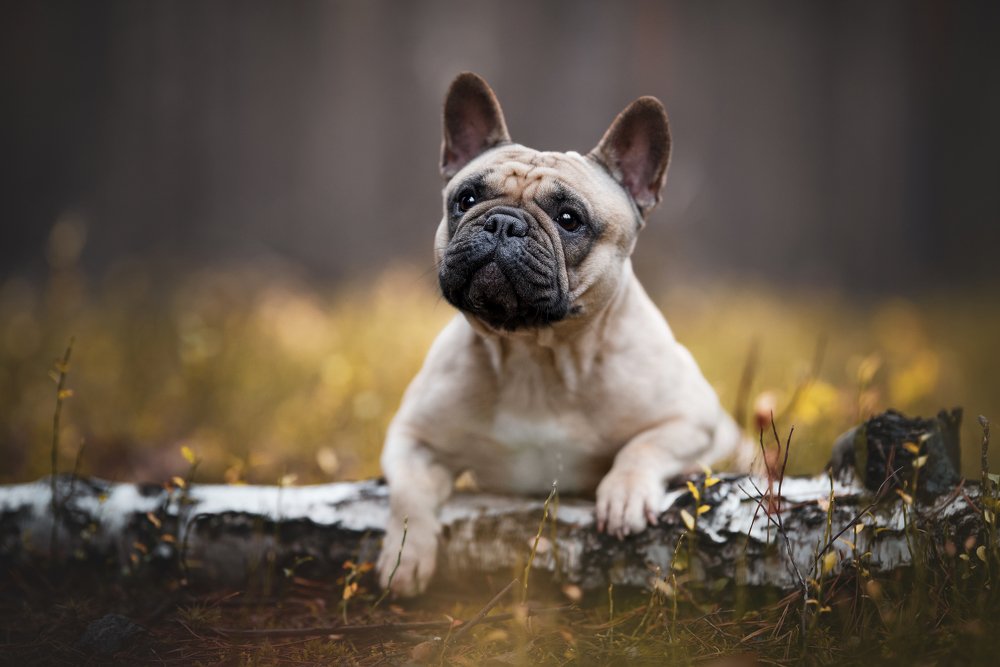 Photograph by Dominika Krysiak