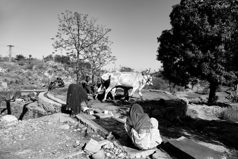 Photograph by DIMPAL PANCHOLI