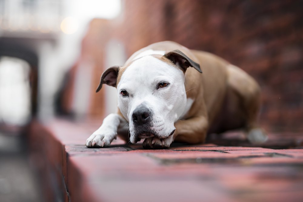 Photograph by Dominika Krysiak