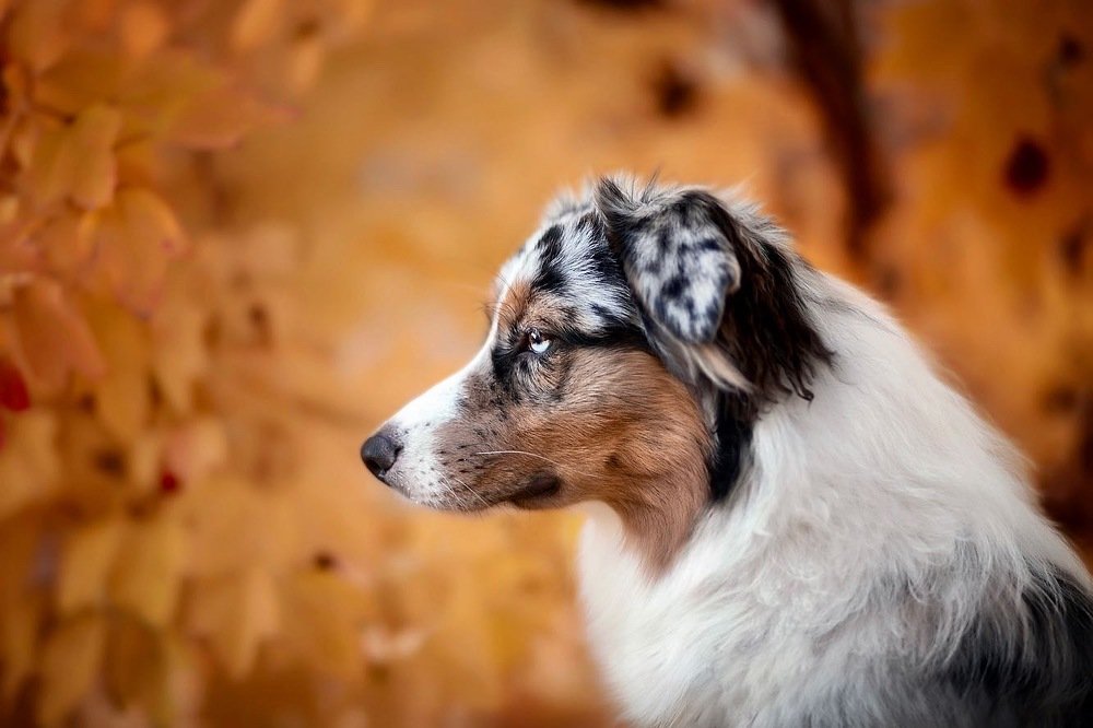 Photograph by Ольга Замковая