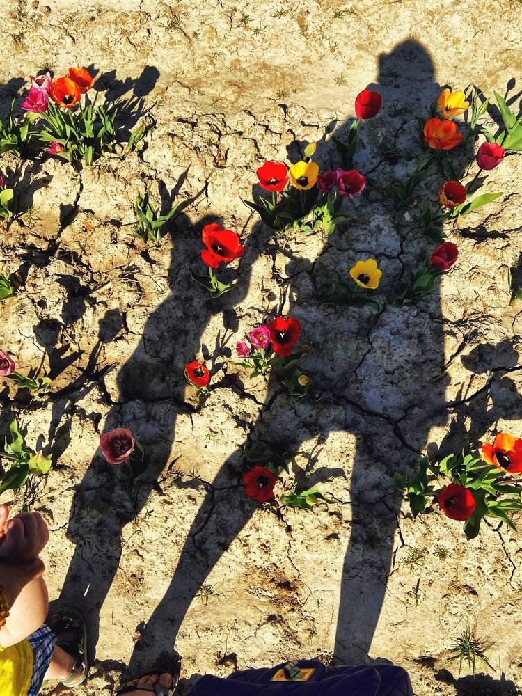 Новое платье от Дольче Габбана