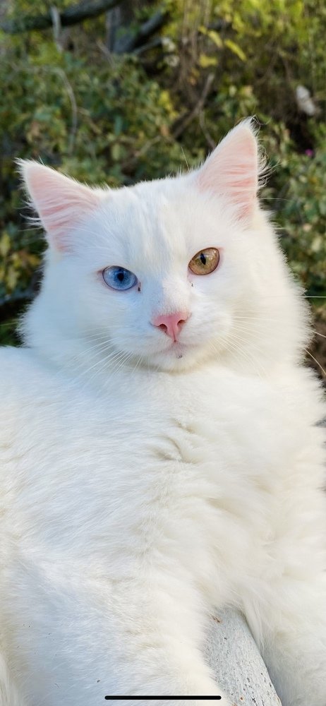 Photograph by Юлия