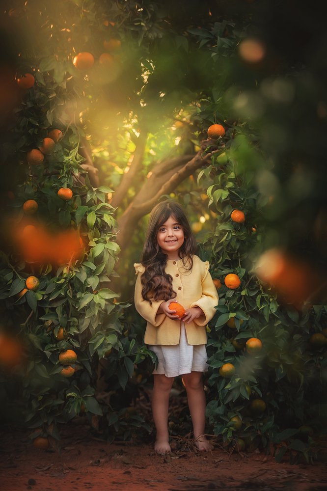 Photograph by yarden kaplan