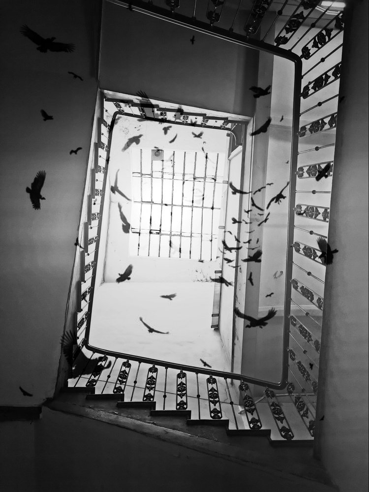 Photograph by Palina Mikhailouskaya