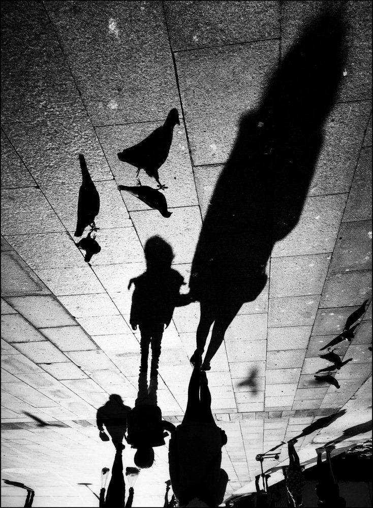 Photograph by Yalim Vural