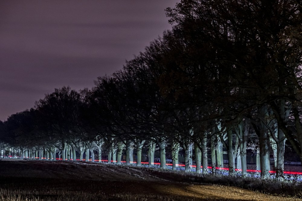 nature protected by law