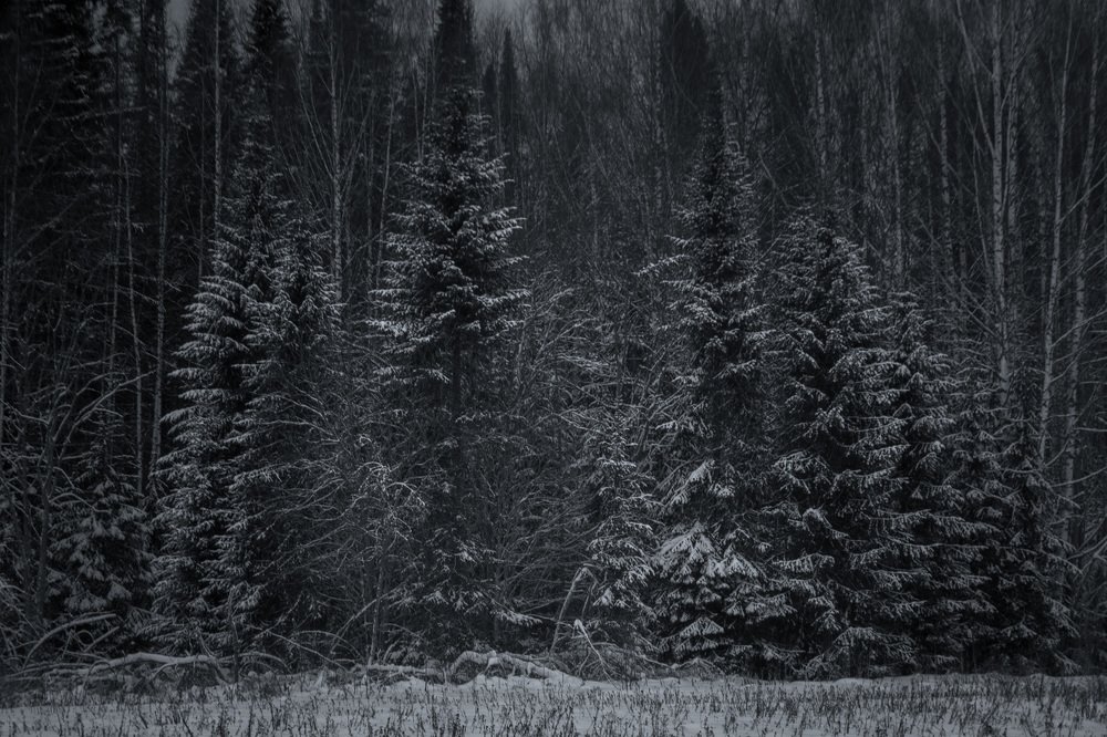 Photograph by Сергей Шмелев