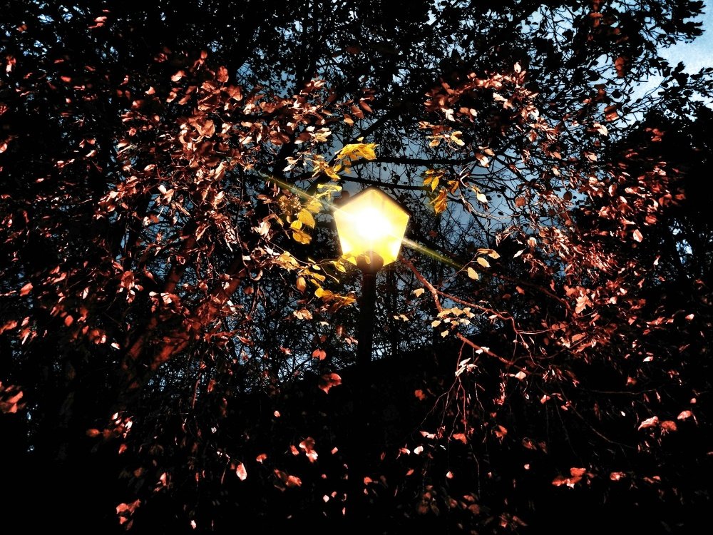 Photograph by Андрей Локтев