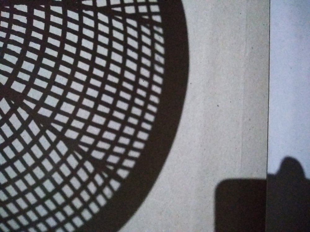 Photograph by Krishna Chandra  Dule