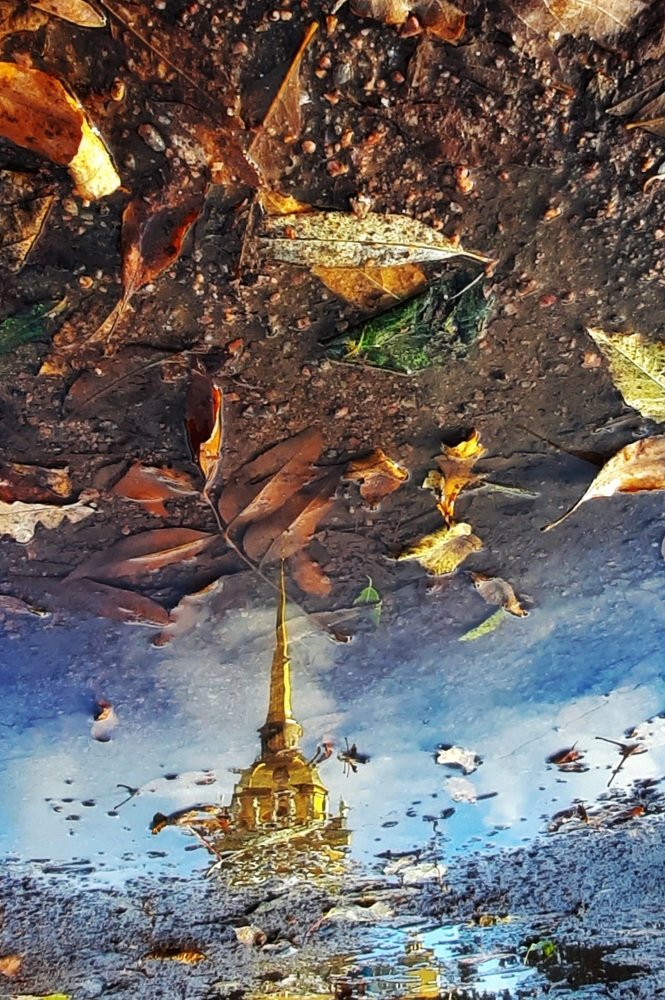 Autumn reflection
