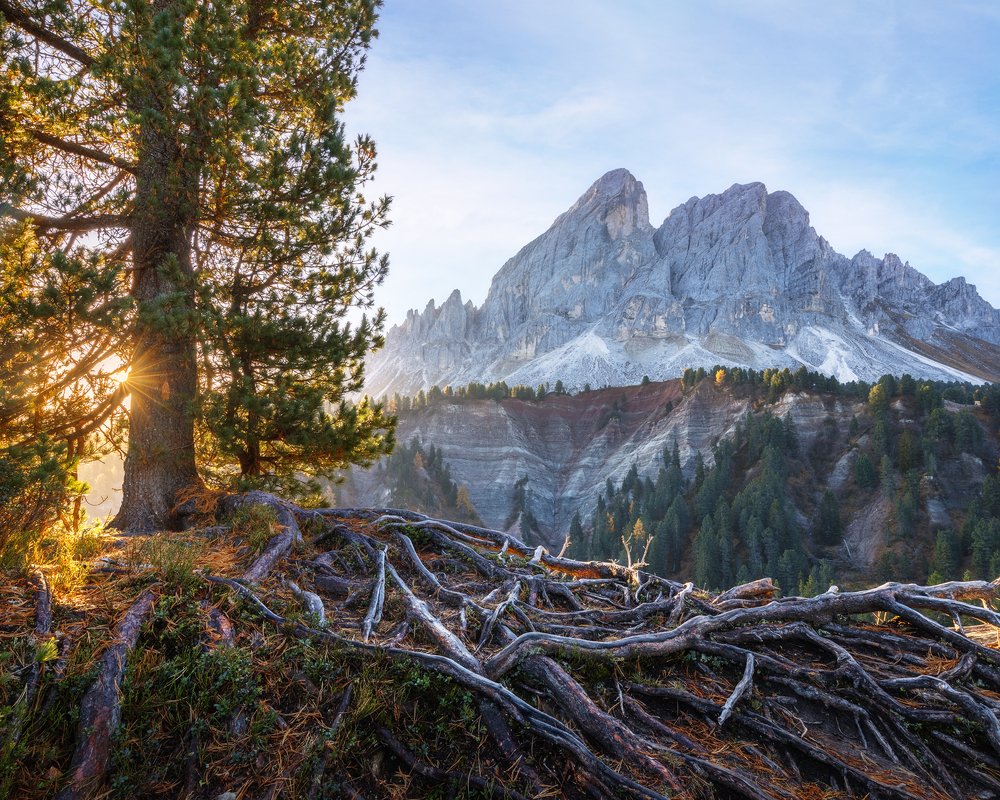 Фотография автора Oleg Rest