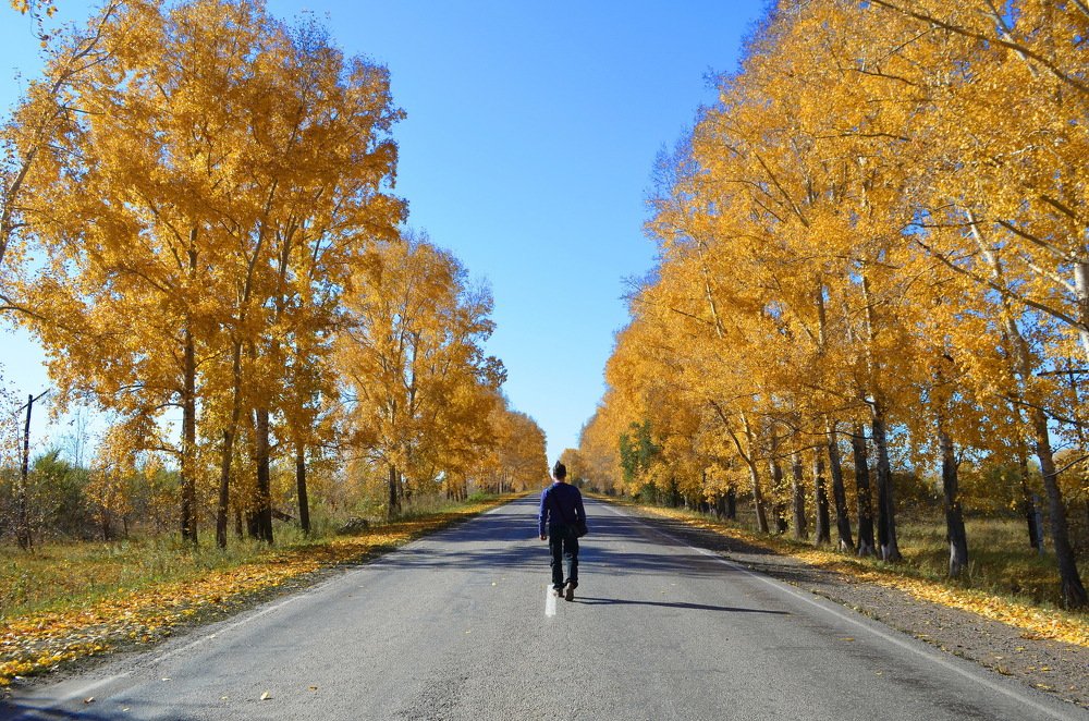 По дороге в осень!