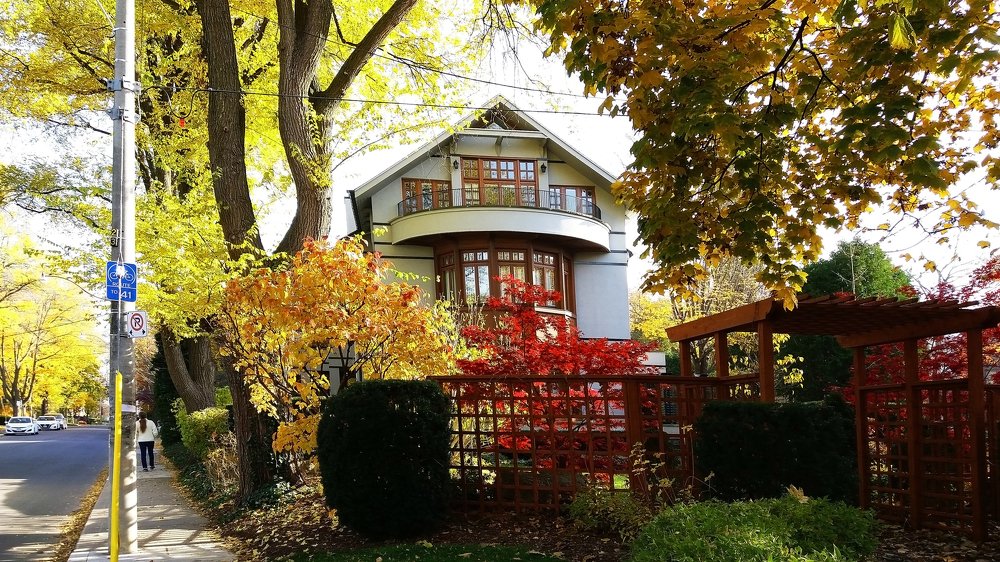 Photograph by Владимир Молостов