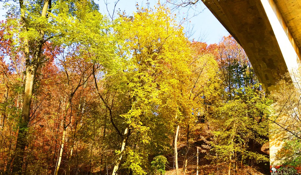 Photograph by Владимир Молостов