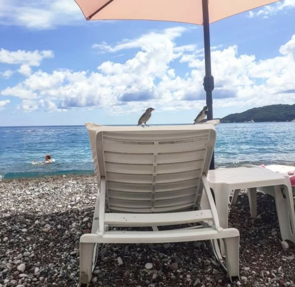 Фотография автора Jadranka Kaludjerovic