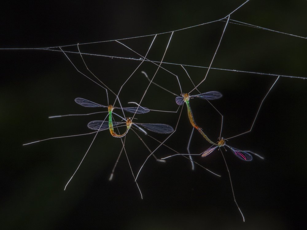 Photograph by Wei fu