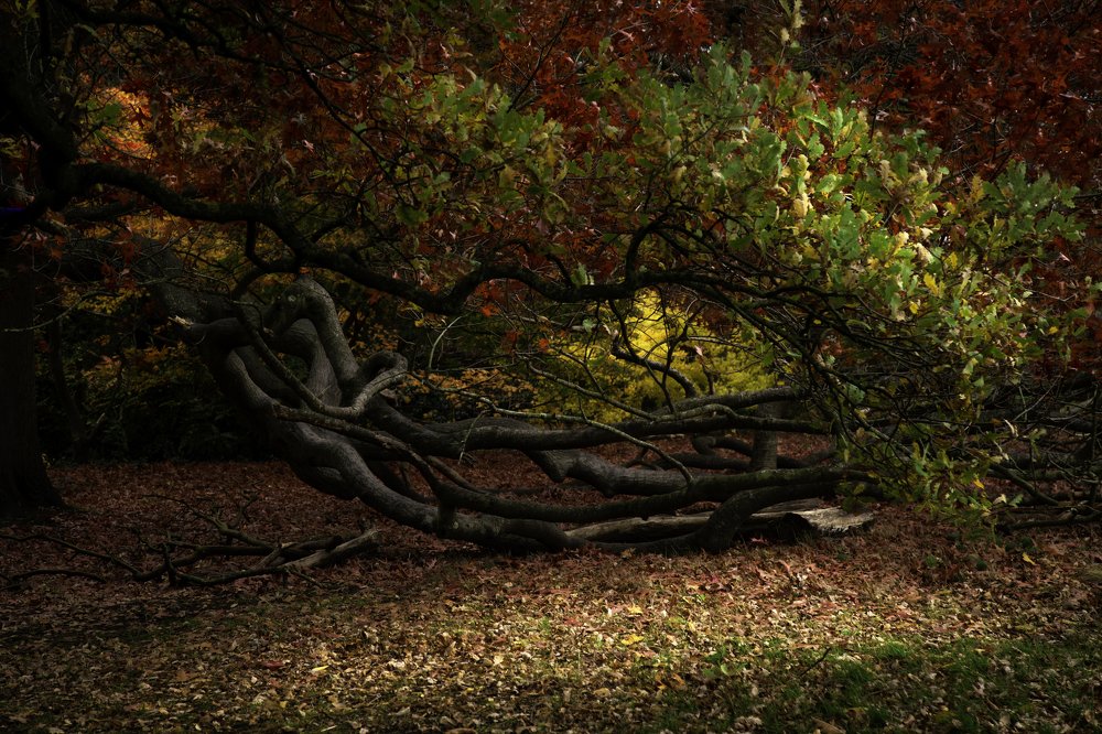 Фотография автора Оксана Мерзликина