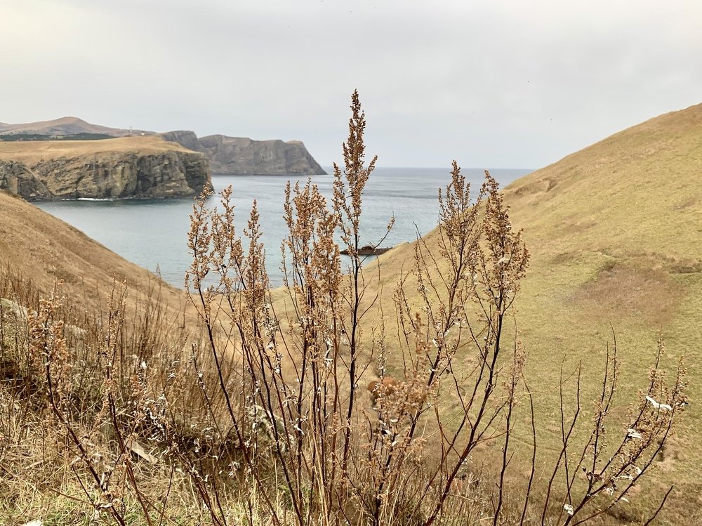 Photograph by Лазурченко Анастасия