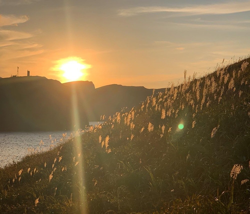 Photograph by Лазурченко Анастасия