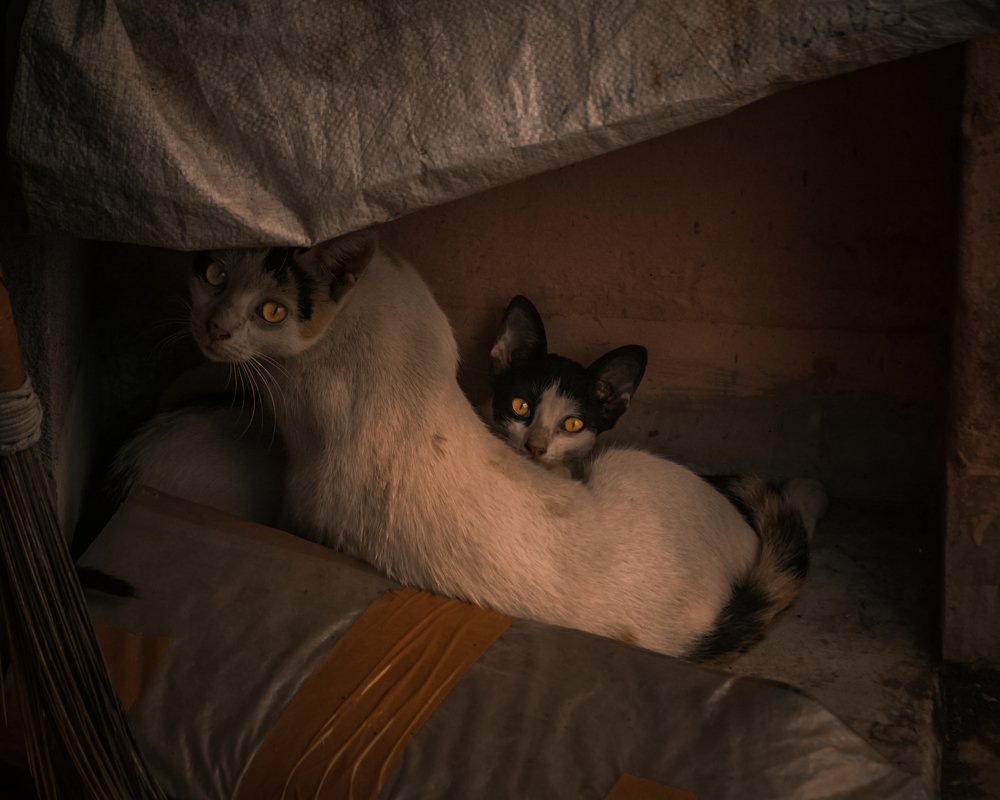 Photograph by Kumarjeet Ray