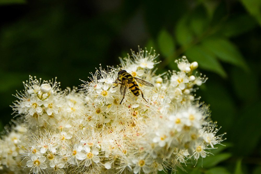 Photograph by Илья Борзенков