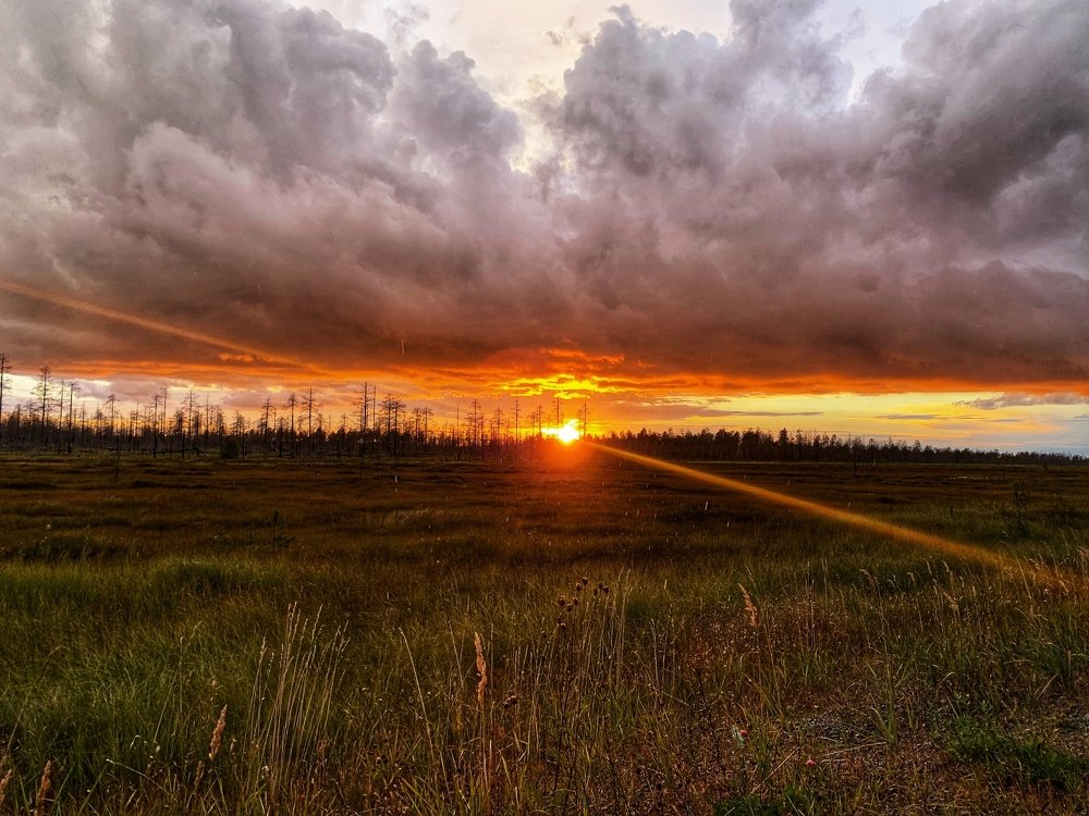 Photograph by Ирина Степанова