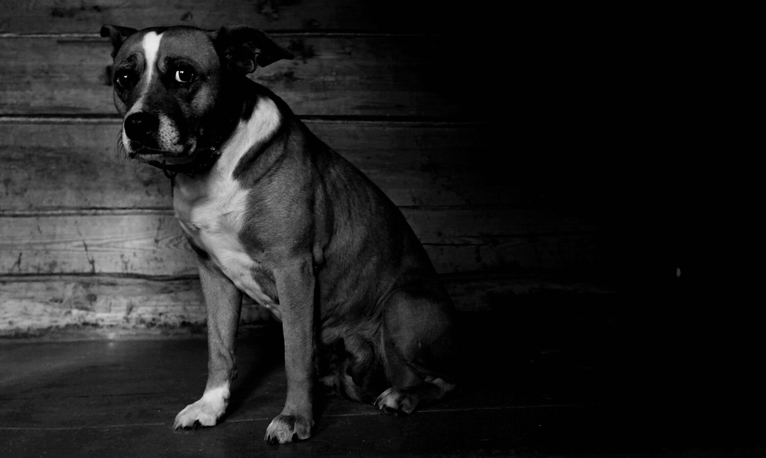 Photo #5270086