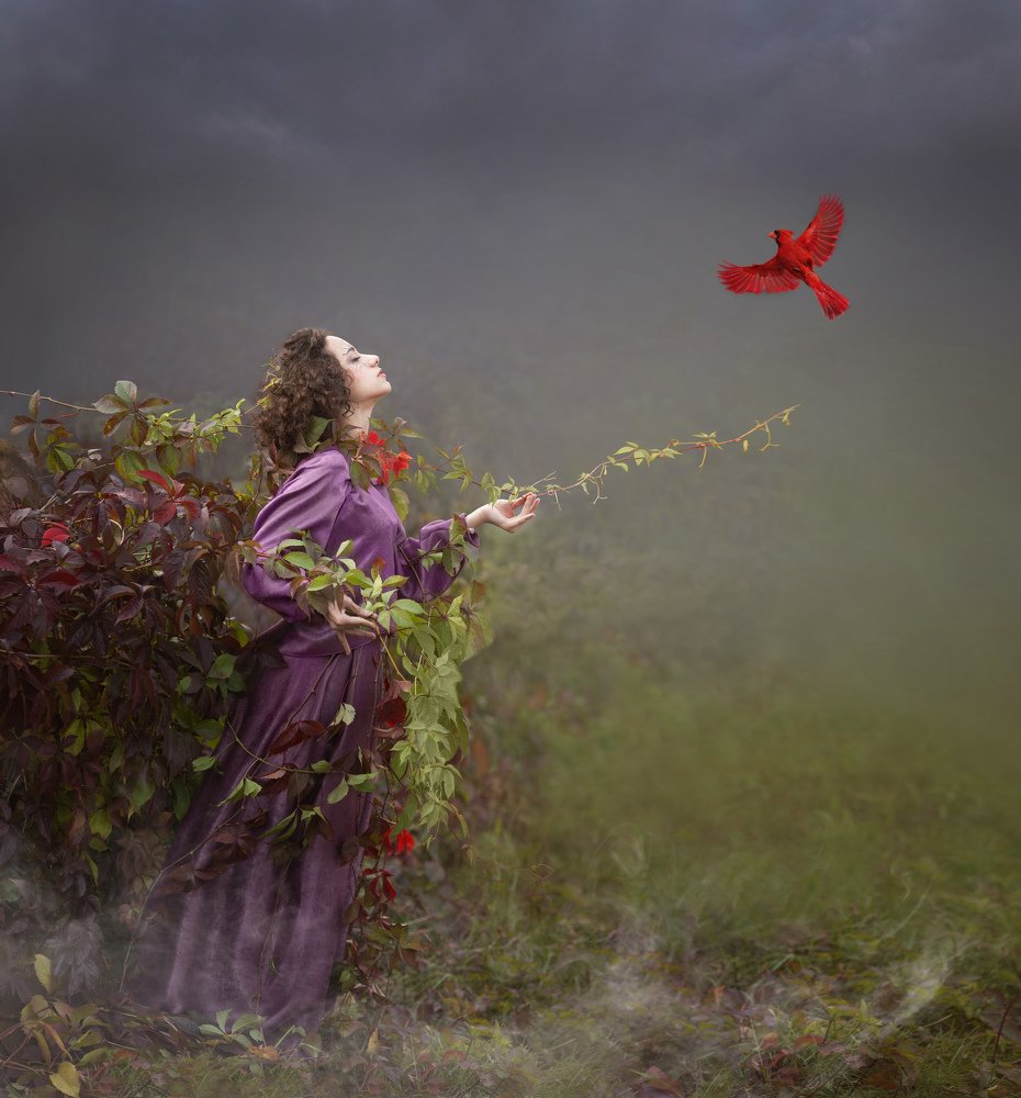 Photograph by Дарья Гордеева