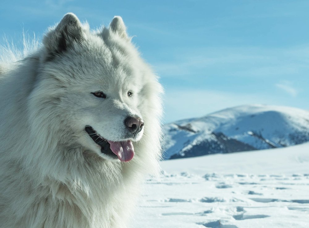 Photograph by Марат Рысбеков