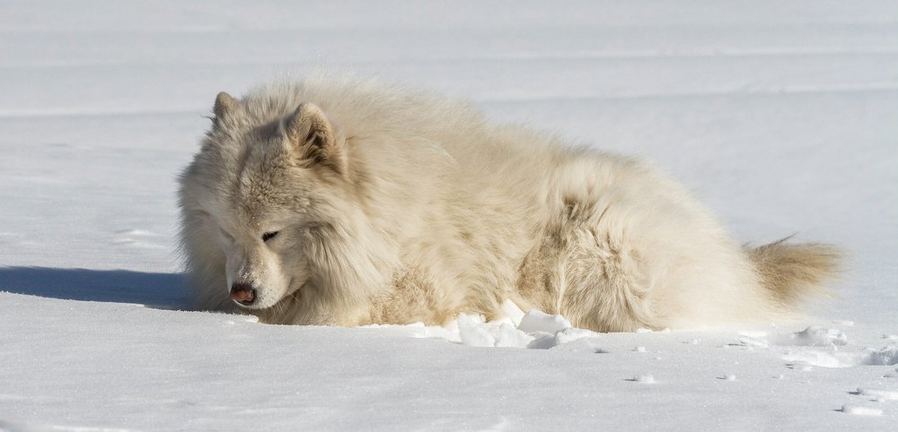 Photograph by Марат Рысбеков