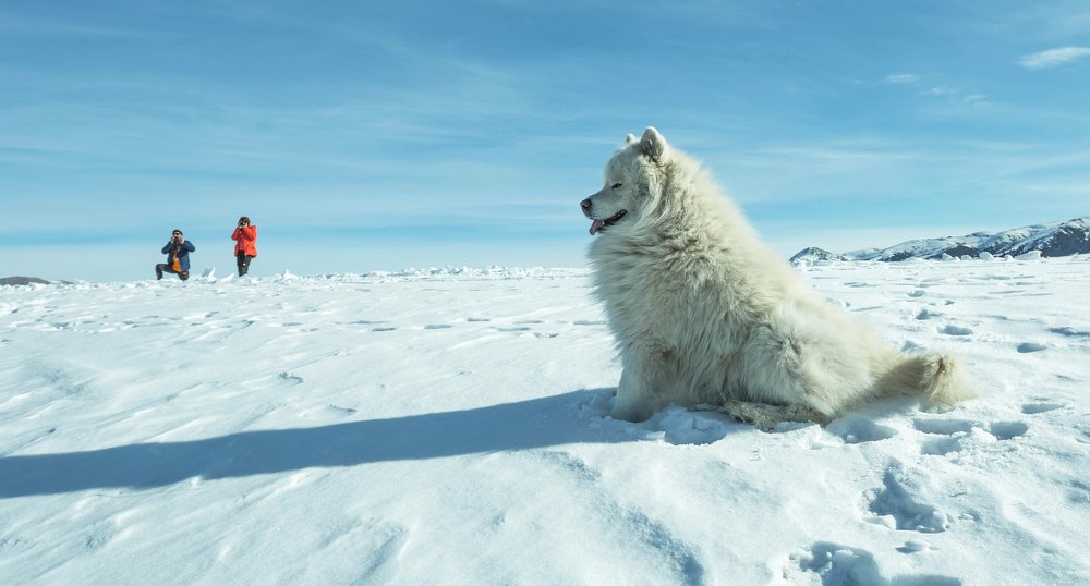 Photograph by Марат Рысбеков