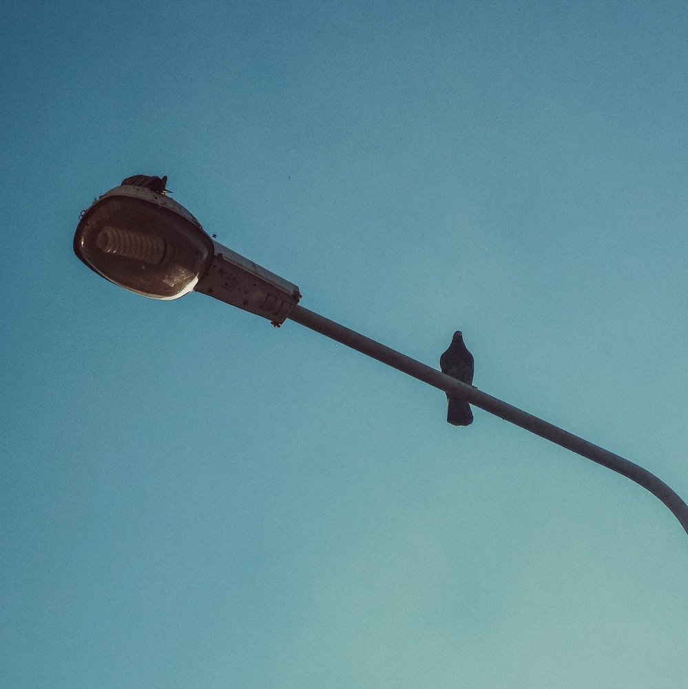 Photograph by Дмитрий Фёдоров