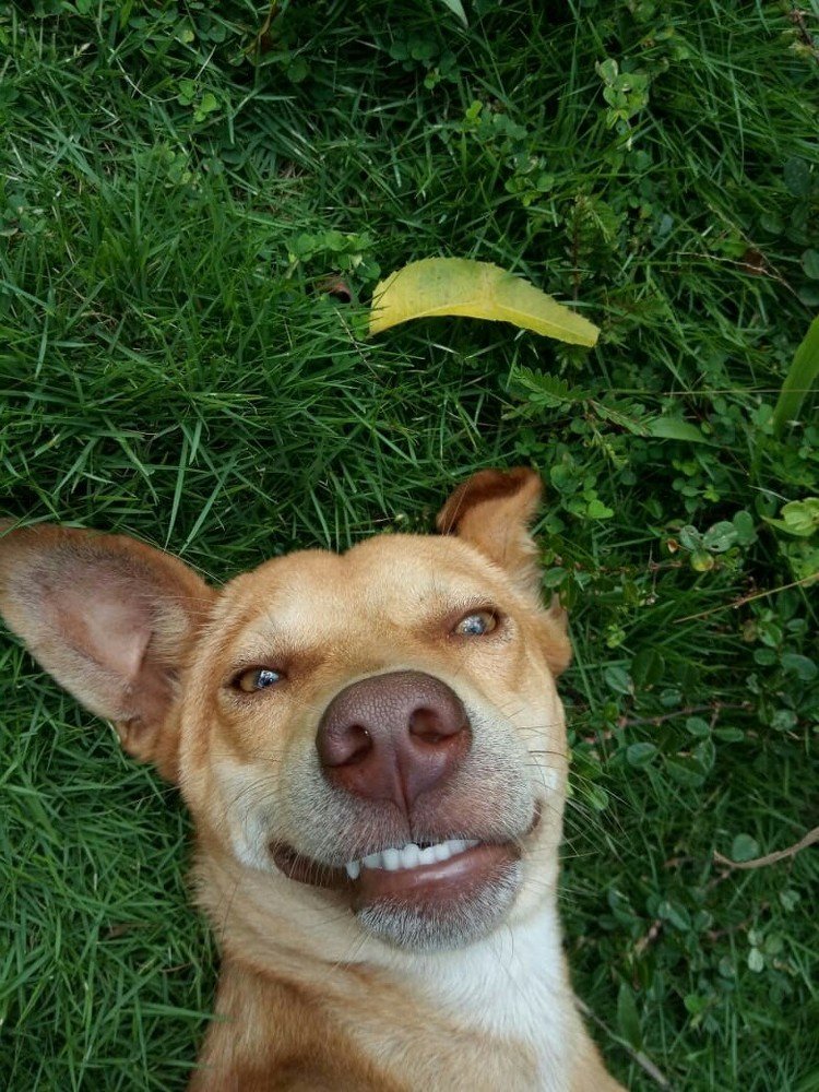 Photograph by Nipun Hennayaka