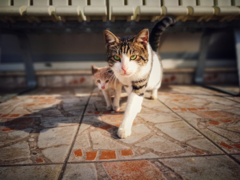 Photograph by Евгений Кравченко